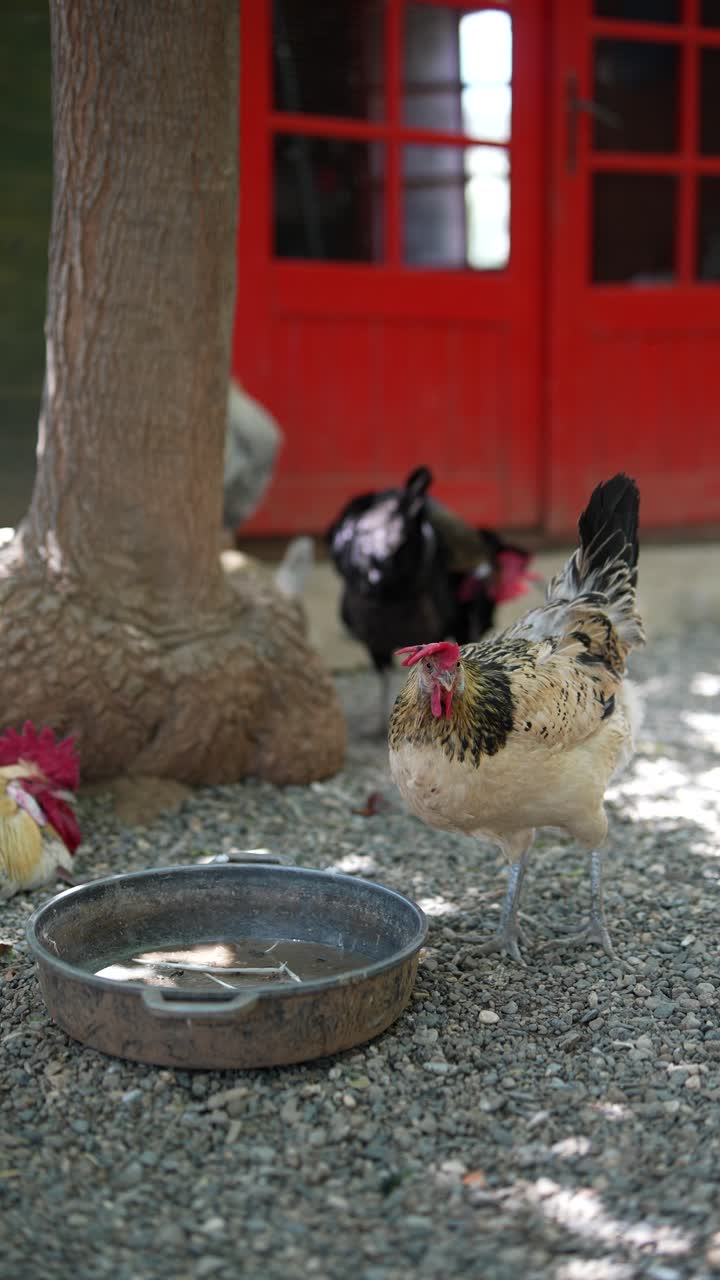 빨간 문 근처의