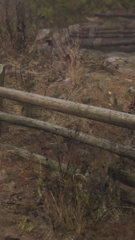 rustic wooden fence in a foggy woodland scene