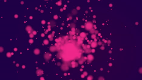 Vibrant-pink-explosion-on-black-background