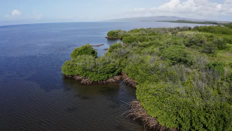 Excellent-Aerial-Shot-Of-The-Green-Coastlines-Of-Papohaku,-Hawaii