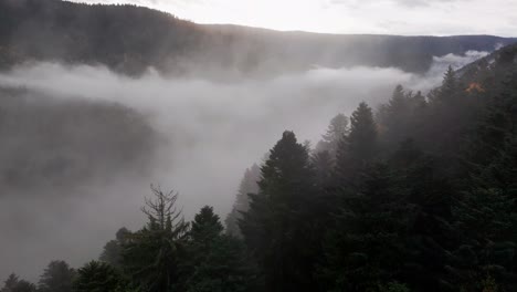 Aerial-view-flying-above-thick-clouds-over-mystical-automnal-mountain-forest,-4K