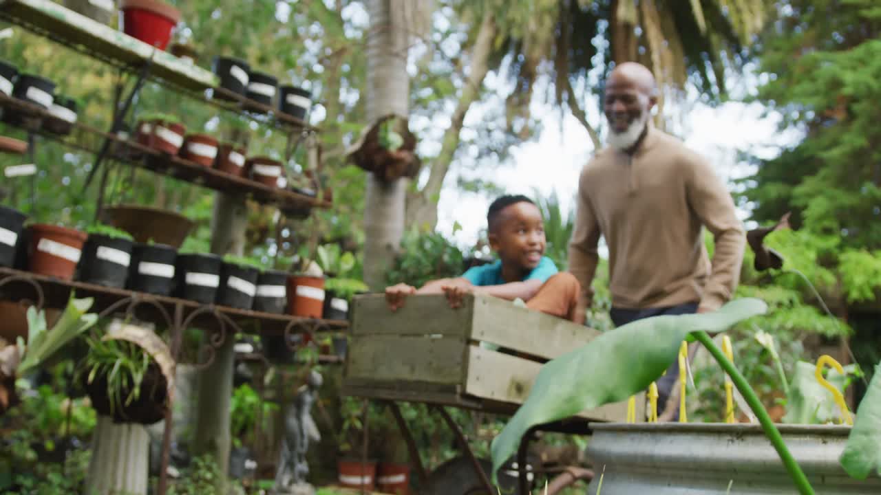 homem afro-americano sênior feliz com seu neto brincando com carrinho de mão no jardim