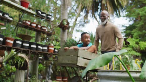 Happy-senior-african-american-man-with-his-grandson-playing-with-wheelbarrow-in-garden