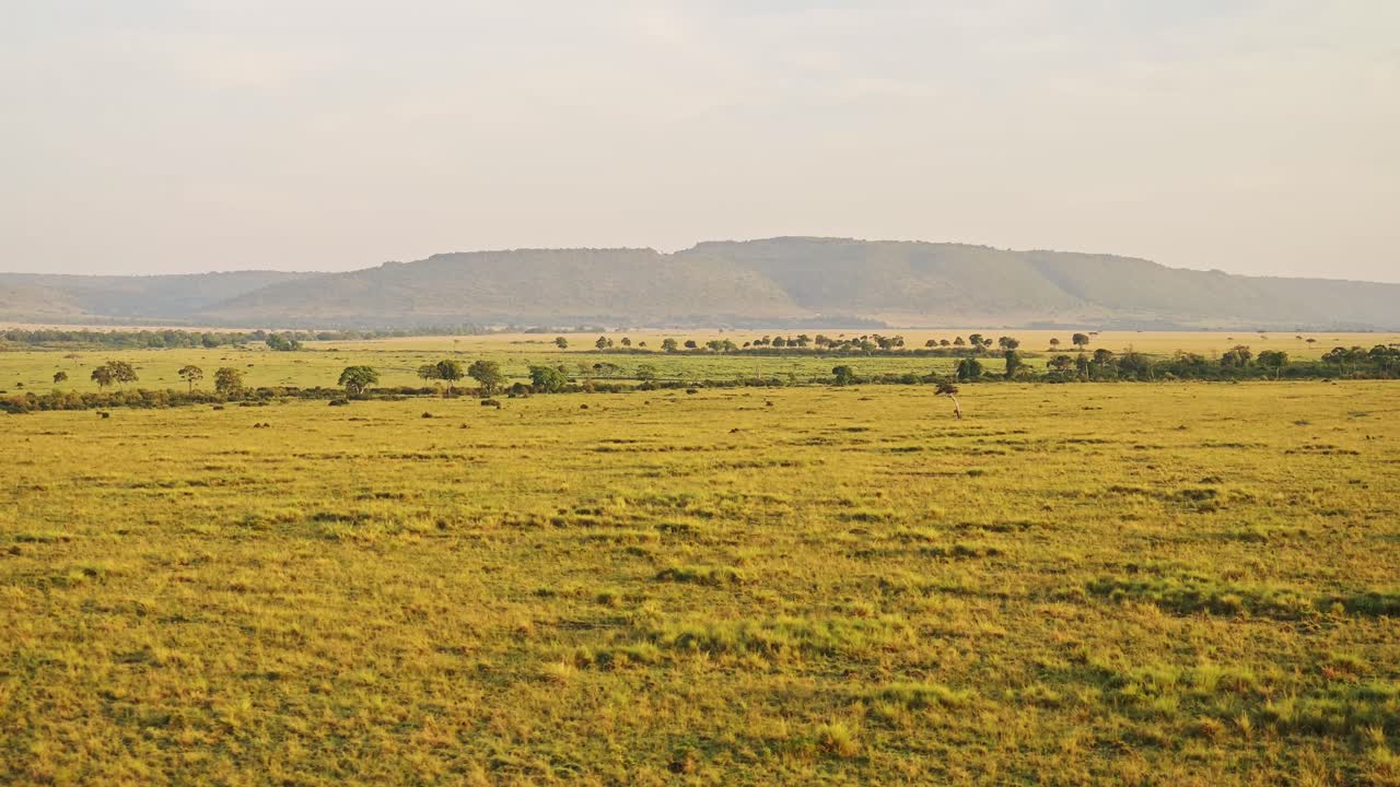 Africa Aerial Shot of Beautiful Masai Mara Savanna Landscape in Kenya, Hot Air Balloon Ride Flight View From Above Flying Over Vast Wide Open Plains and Amazing Scenery, High Up Wide Shot