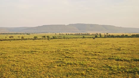 africa aerial shot of beautiful masai mara savanna landscape in kenya, hot air balloon ride flight view from above flying over vast wide open plains and amazing scenery, high up wide shot