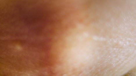 extreme close up of human eye iris, expanding and shrinking of pupil with some eye movements and blinking