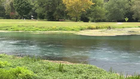 backwater from spring river flowing slowly along green grass with trees