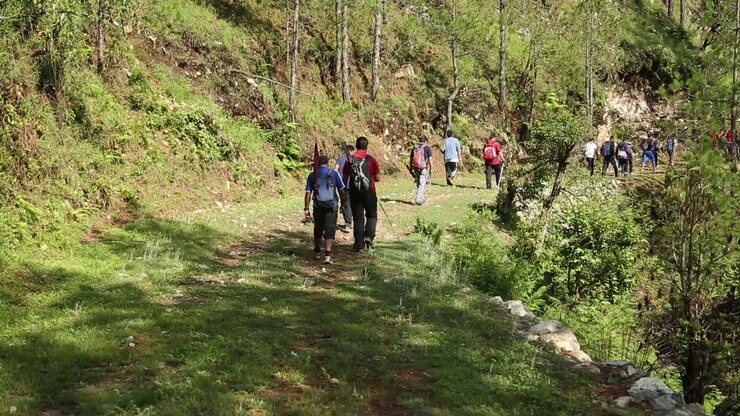 Montañistas himalayos en camino a su destino con sus mochilas —bienes esenciales—, pasando por las colinas del Himalaya —Bosque de Sal, Uttarakhand, India.