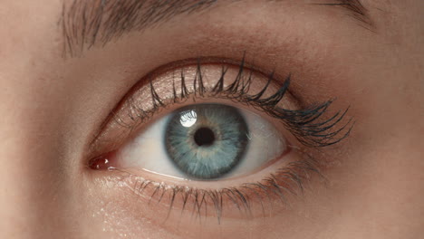 close up woman eye with makeup beautiful blue eye vision sense concept