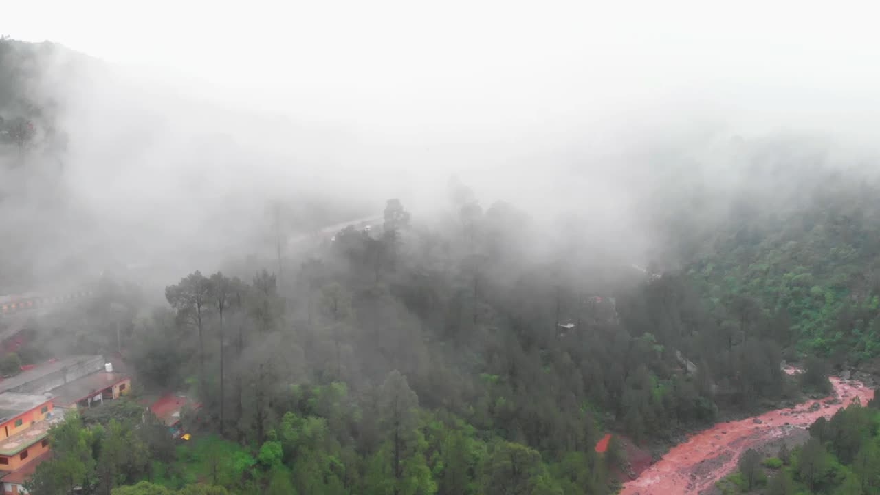 vista aérea de una densa niebla sobre una ladera verde en punjab