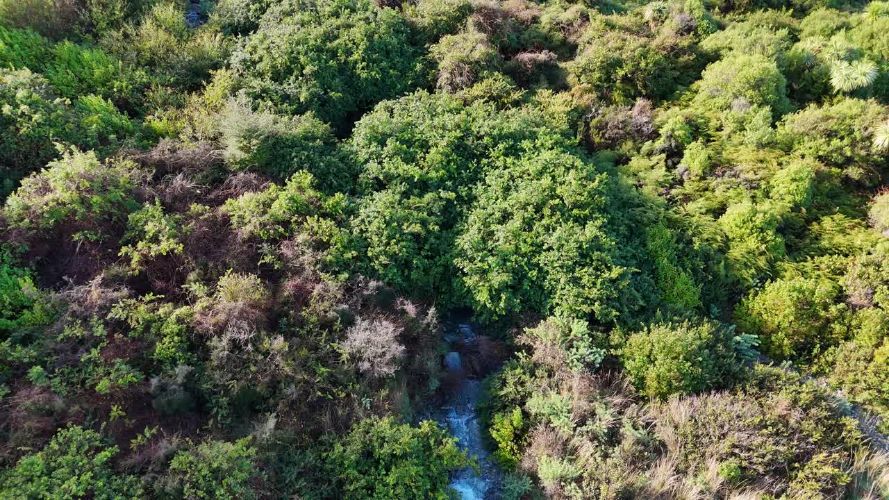 Drone footage captures a vibrant forest with a glacial stream in New Zealand, showcasing natural beauty and tranquility