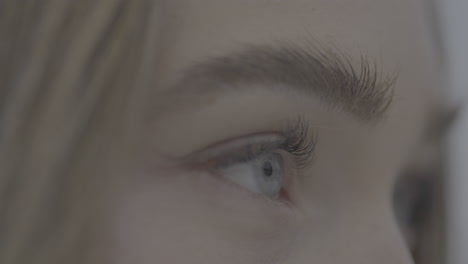 primer plano del ojo de una mujer.