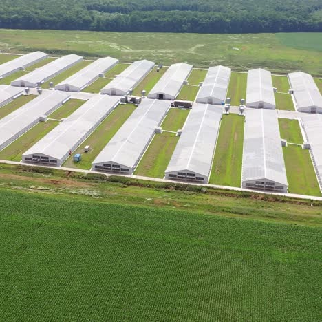 aerial view over big agricultural farm