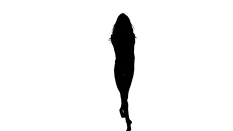 Hübsche-Frau-Ballett-Tanzen-Silhouette