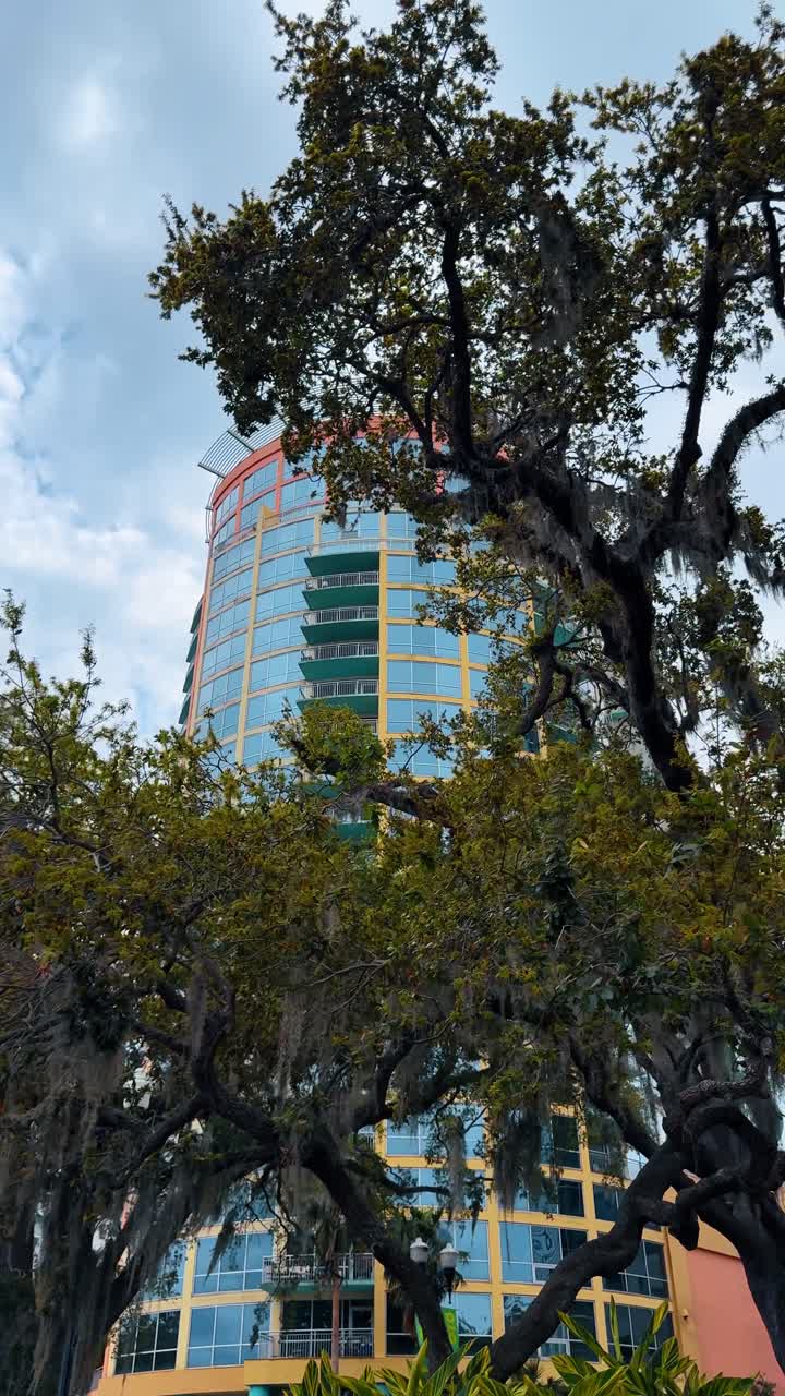 Orlando, EUA, 9 de junho de 2025: Arranha-céu moderno e colorido atrás de carvalhos com musgo espanhol. Vista de baixo ângulo de um edifício de vidro contemporâneo emoldurado por galhos de carvalho cobertos por musgo espanhol em Orlando.