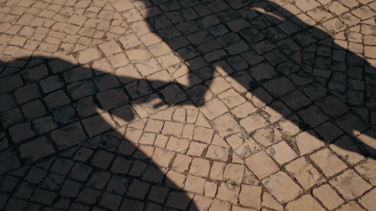 Shadows of a couple holding hands on cobblestone pavement, symbolizing unity and romance