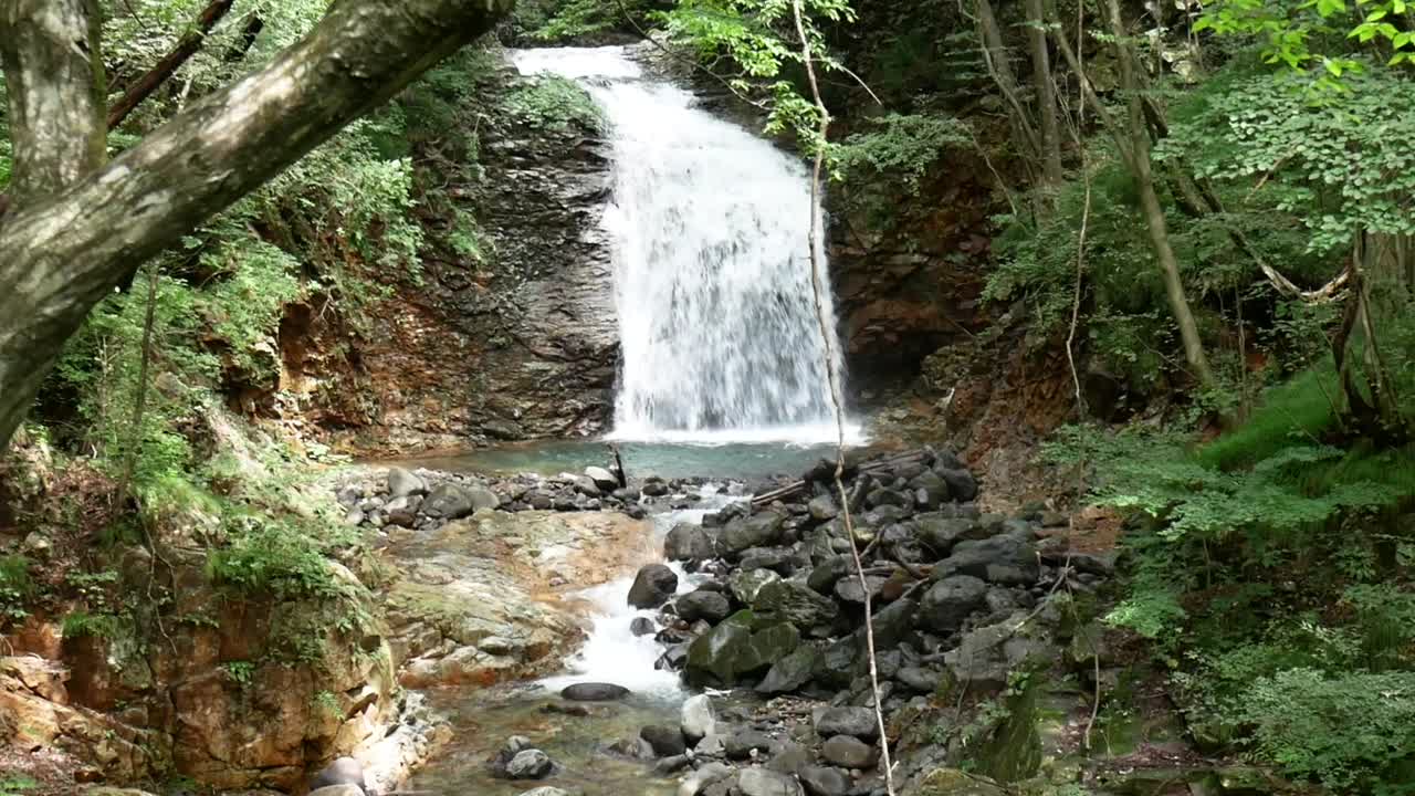Serene Waterfall and Stream in Lush Forest