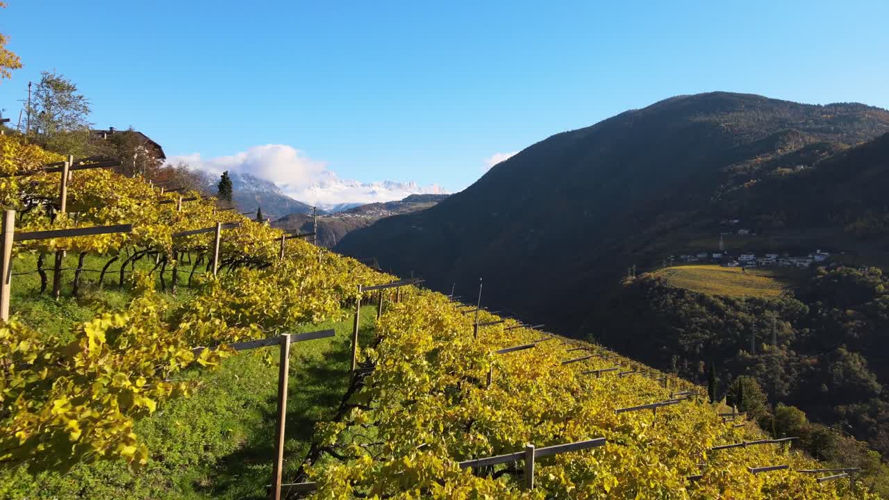 이탈리아의 알토 아디제(alto adige)