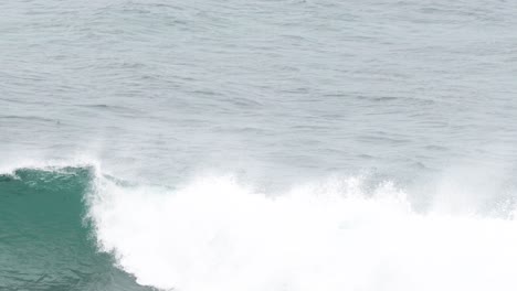 surfers catching waves at bell beach, melbourne