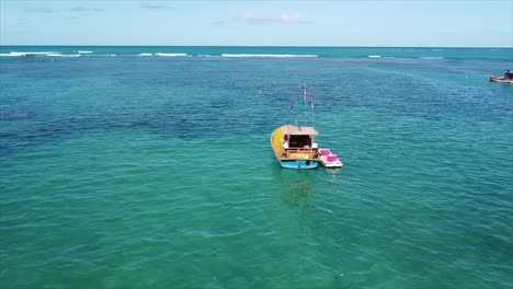 maceio coast, beautiful crystal clear waters on reef