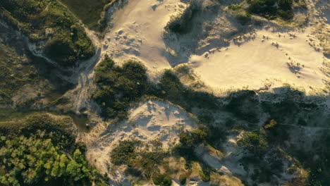 dunes from above with beatiful sunset in national park kennemerland, the netherlands