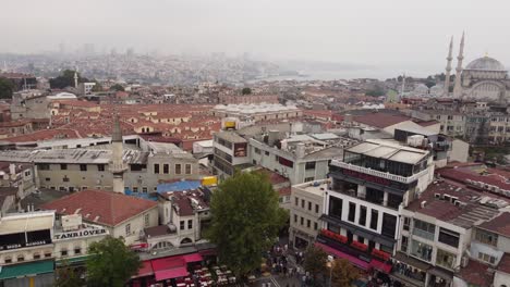 roof view of grand bazaar istanbul with mosque in the background