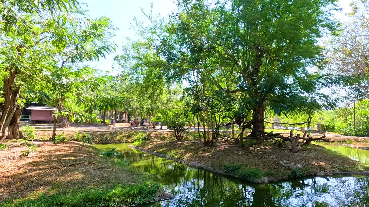 la vegetación exuberante y el agua tranquila crean un ambiente sereno en un entorno de zoológico, con luz natural y colores vibrantes
