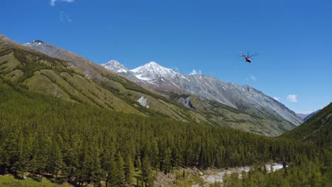 Aerial-shot-of-helicopter-flying-over-trees