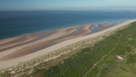 Panorama-Of-The-Blue-Water-And-Green-Forest-At-The-Shoreline-Of-Aloha-Beach-In-Zeeland,-Netherlands