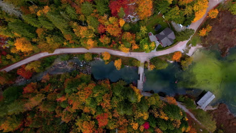 aerial top down shot following a road in middle of colorful forest and a river