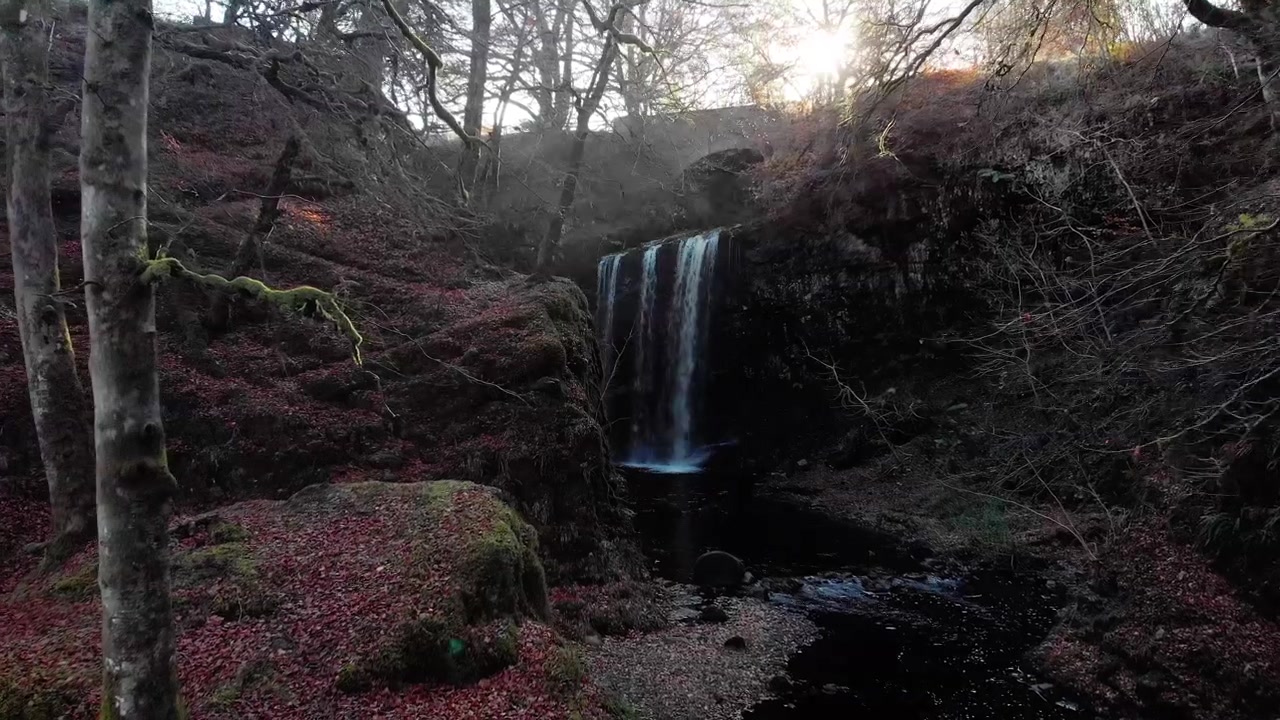 Una fluida ripresa in dolly che cattura le cascate di Dalcairney in Scozia, incorniciate da alberi muschiosi con la luminosa luce solare autunnale che filtra attraverso la volta del bosco.