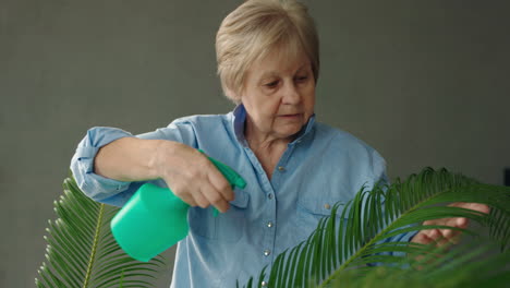 senior woman watering a houseplant