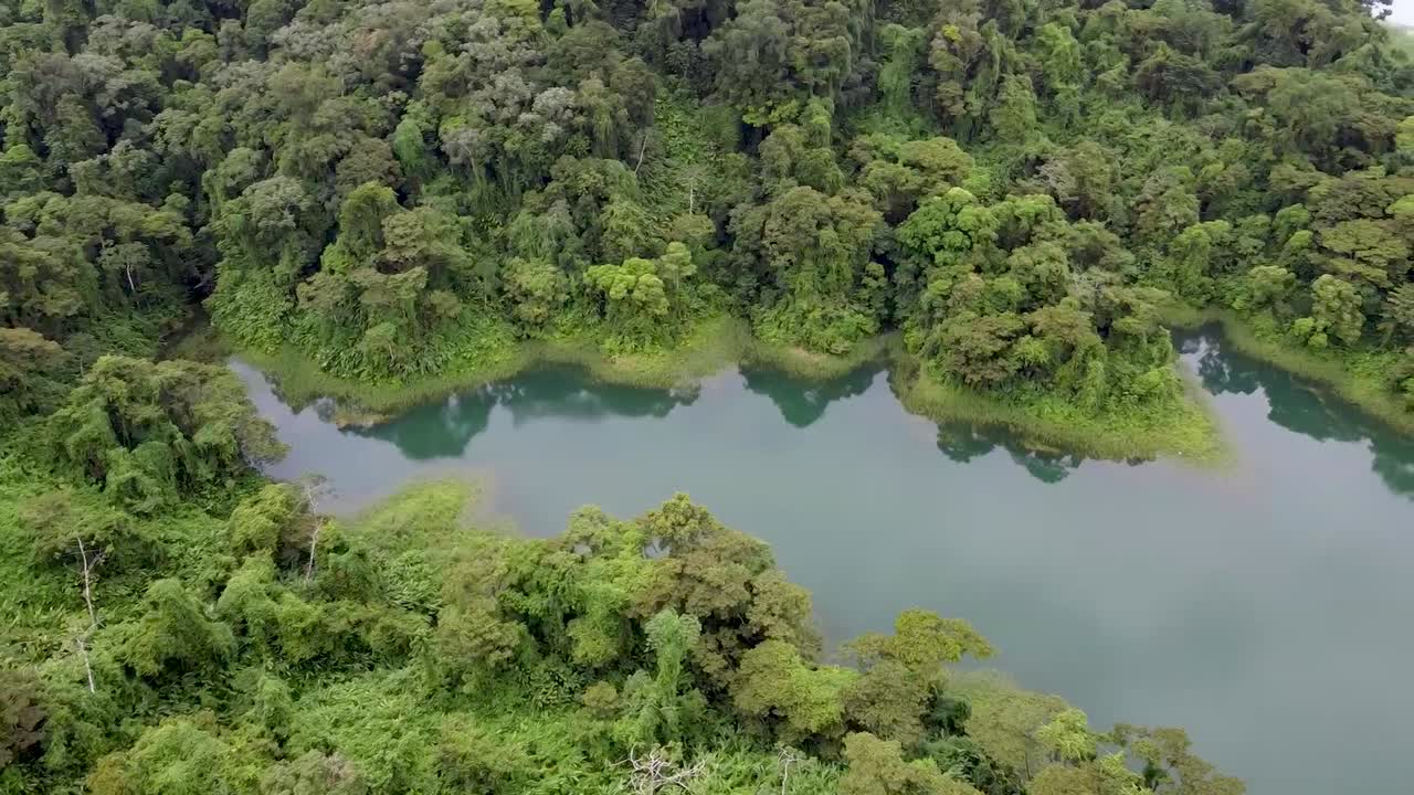 아레날 호수 근처 코스타리카의 정글 도로에서 자동차