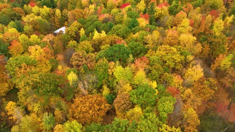 Blätter-Wechseln-Von-Grün-Zu-Schönen-Herbstfarben