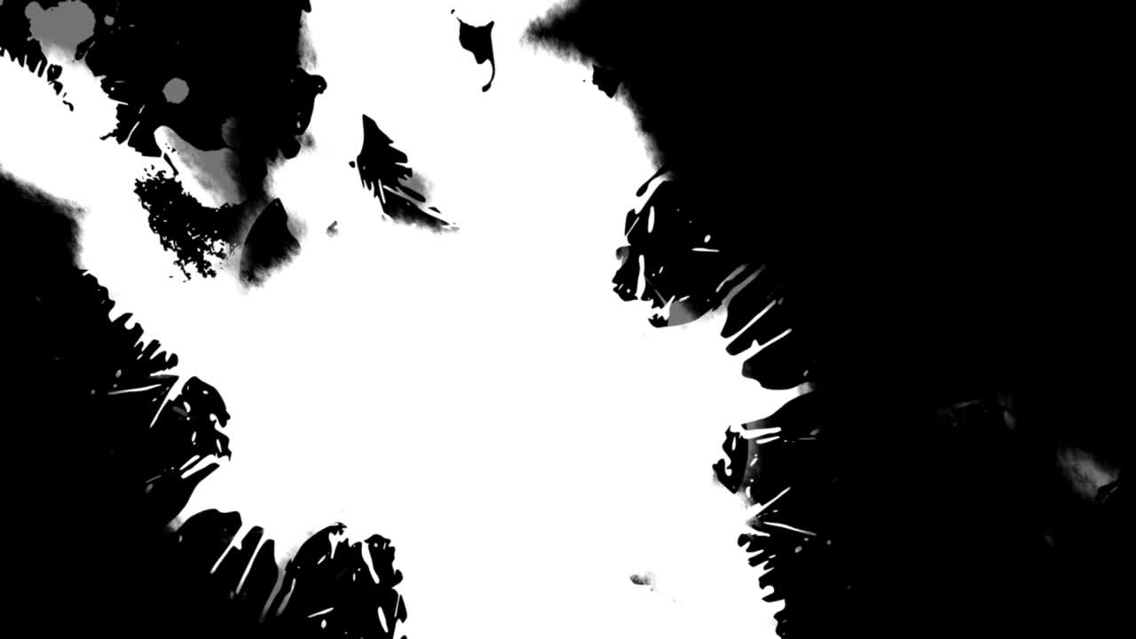 잉크 전환 팩 13