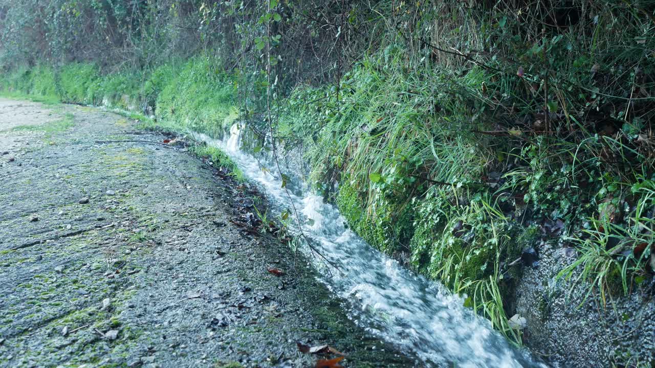 una corriente de agua fluye a través de la hierba verde