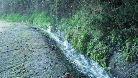 a water stream flows through the green grass