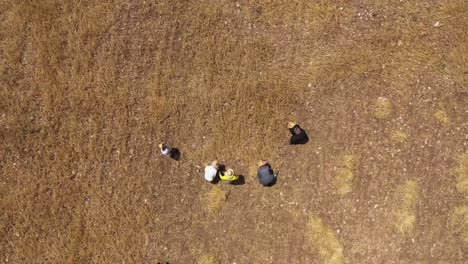 drone shot of workers in a hay field
