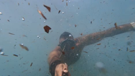 diving among poseidonas in the mediterranean