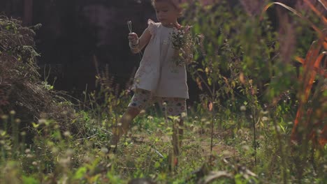 Ein-Wunderschönes-Kleines-Mädchen,-Das-Blumen-In-Einem-Garten-Pflückt,-Während-Sie-Einen-Strauß-Wildblumen-Macht,-Die-Draußen-In-Der-Sonne-Spielen