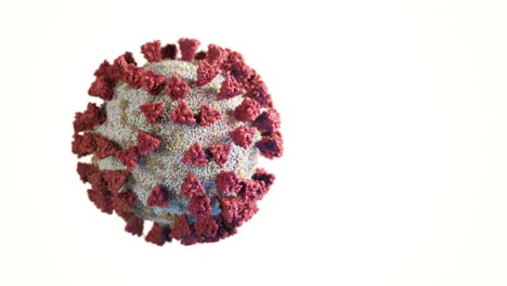 rotación de una molécula de virus en un fondo blanco aislado