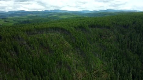 aerial view of a lush green forest and mountain range