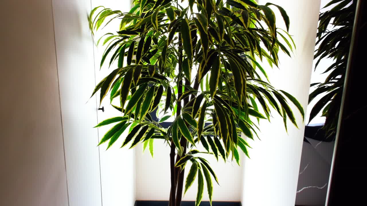 camera close up on artificial flower in hotel lobby