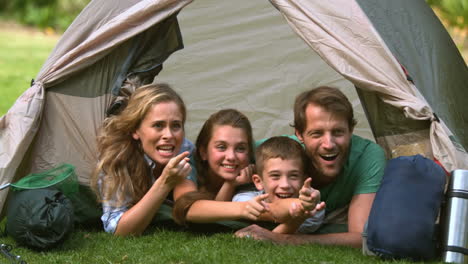 Family-looking-and-pointing-something