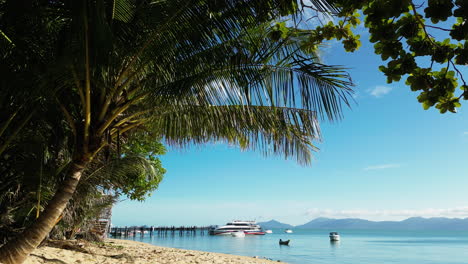 beautiful palm tree beach on the tropical island of koh samui