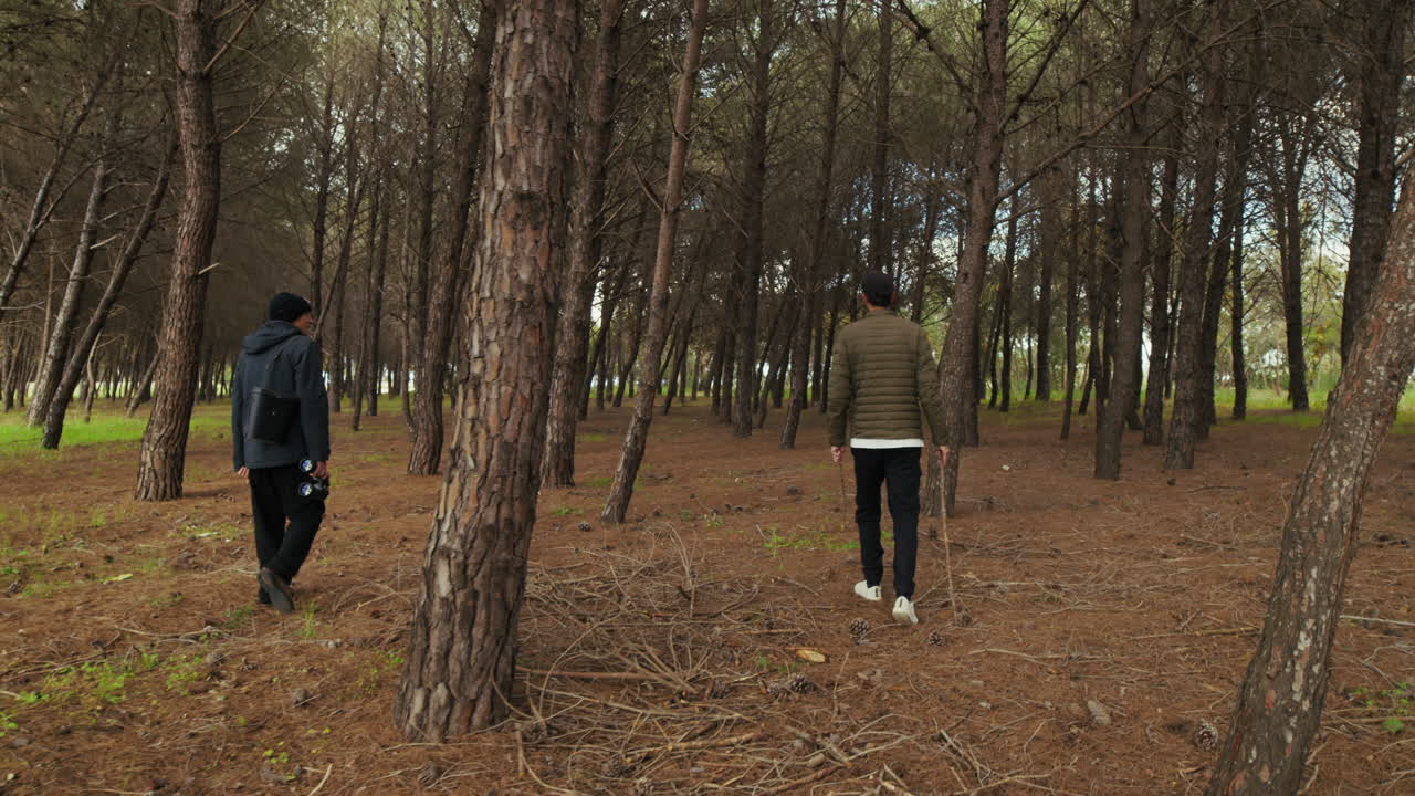 In a Natural Park, The Father Walks With His Son Among The Trees
