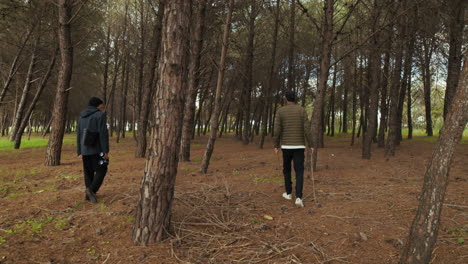 in a natural park, the father walks with his son among the trees
