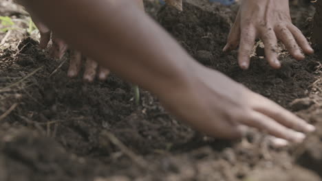 slow motion close up footage of people's hands moving dirt around a freshly planted tree