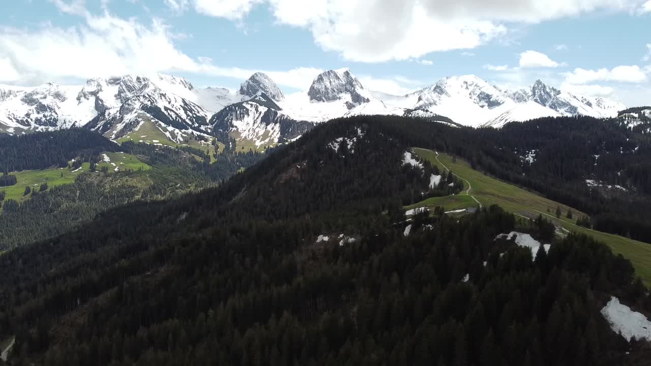 amazing view to a beautiful swiss scenery with snowy mountains and green forest