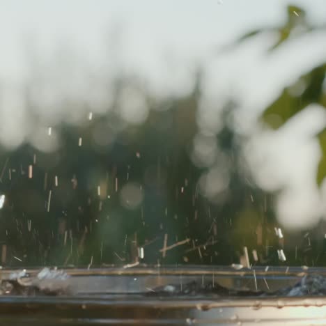 Grapes-fall-into-a-bucket-of-water